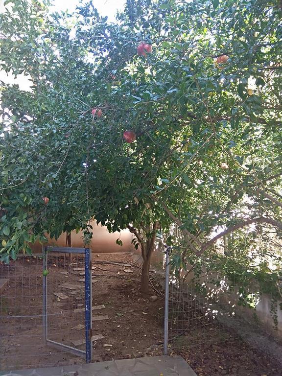 Apartmán Rodi House Nafplio Exteriér fotografie